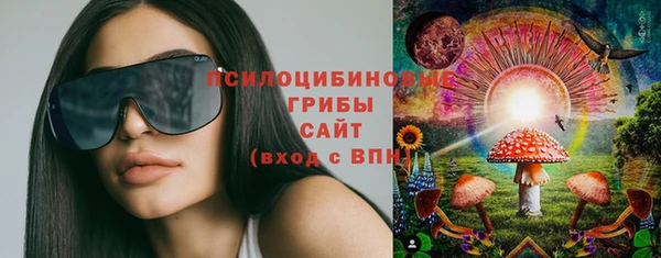 гидра Алзамай