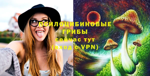 кокс Армянск