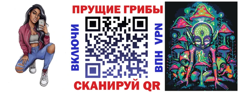 omg зеркало  Снежногорск  Галлюциногенные грибы Cubensis  наркотики 