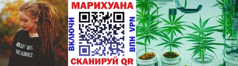 магазин продажи наркотиков  Снежногорск  даркнет клад  Каннабис марихуана 